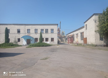 Wood processing plant in the Rivne region for sale